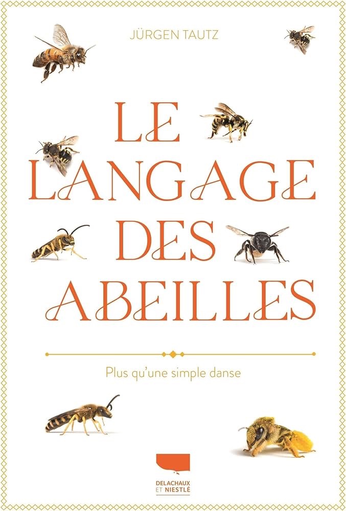 Le Langage des abeilles - Plus qu'une simple danse