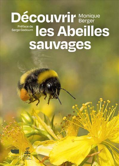 Découvrir les abeilles sauvages - Monique Berger