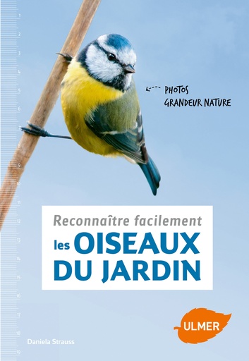 [L - 0028] Reconnaître facilement les oiseaux du jardin – Daniel Strauss