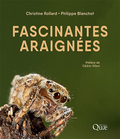 [L - 0030] Fascinantes araignées