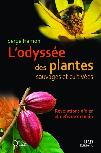 [L - 0036] L'Odyssée des plantes sauvages et cultivées