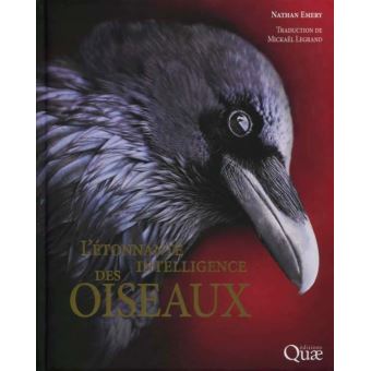 [L - 0038] L’étonnantes intelligence des oiseaux