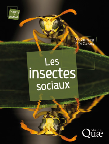 [L - 0040] Les insectes sociaux