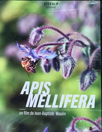 [D - 0001] Apis Mellifera - JB Moulin