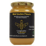 [P - 0041] Miel Toutes Fleurs 500g