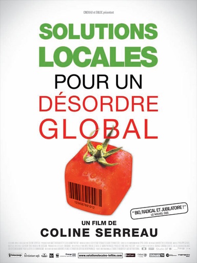 [D - 0025] Solutions locales pour un désordre globlal