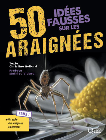 [L - 0094] 50 idées fausses sur les araignées