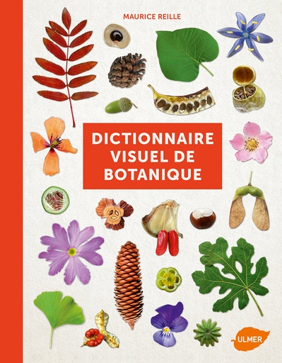 [L - 0102] Dictionnaire visuel de botanique