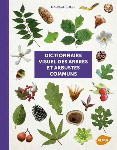 [L - 0103] Dictionnaire visuel des arbres et arbustes communs