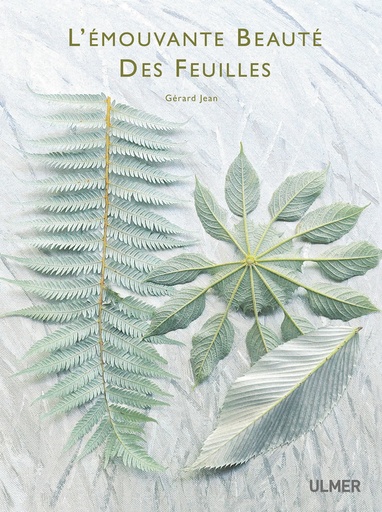 [L - 0112] L’émouvante beauté des feuilles