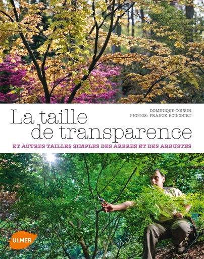 [L - 0118] La taille de transparence