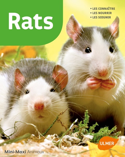 [L - 0128] Rats