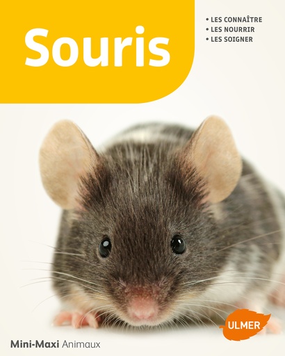 [L - 0135] Souris