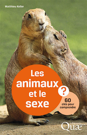 [L - 0140] Les animaux et le Sexe