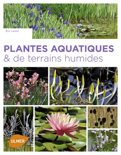 [L - 0143] Plantes aquatiques et terrains humides