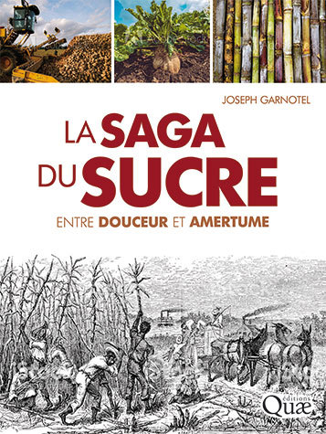 [L - 0149] La saga du sucre