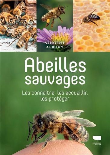 [L - 0171] Abeilles sauvages, les connaître, les accueillir, les protéger