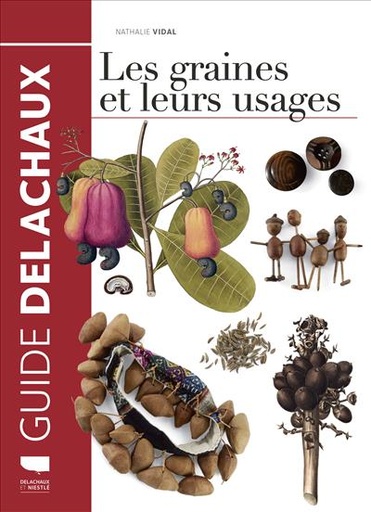 [L - 0176] Les graines et leurs usages