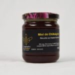 [P - 0021] Miel Chataignier 250 g