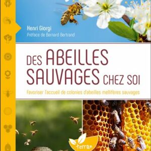 [L - 0234] Des abeilles sauvages chez soi