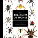 [L - 0237] Les araignées du monde