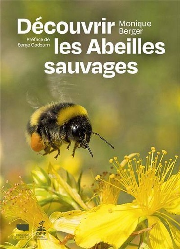 [L - 0297] Découvrir les abeilles sauvages - Monique Berger